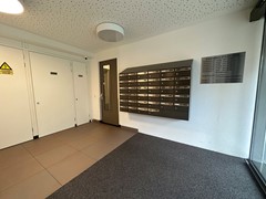 Te huur: Escamplaan, 2547EX Den Haag