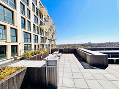 Nieuw in verhuur:Laakweg, 2521 SC Den Haag - Foto