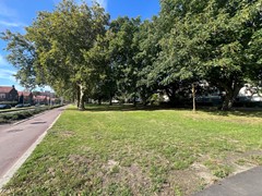 omgeving 4 warande.JPG