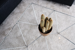 Nieuw in verhuur:Coolhaven 164B, 3024 AM Rotterdam - Foto