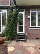 Tuin 1.jpg