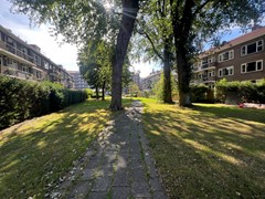 omgeving 3.JPG
