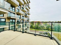IMG_4021.JPEG