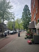 Omgeving 2.JPEG