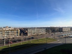 IMG_0429.JPEG