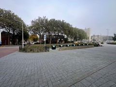 IMG_6752.jpg
