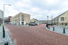 IMG_9453.jpg