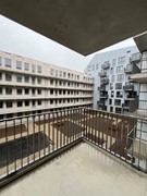 IMG_0133.jpeg