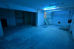 DSC_0486.JPG