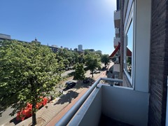 IMG_3100.JPEG