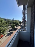 IMG_3101.JPEG