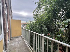 IMG_3195.JPEG