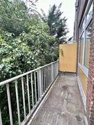 IMG_3194.JPEG