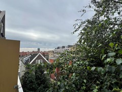 IMG_3196.JPEG