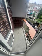 06.jpg