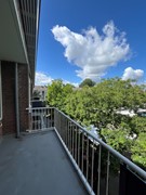 IMG_4569.jpeg