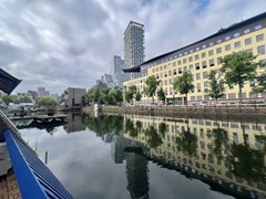 IMG_3604.JPEG