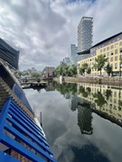 IMG_3606.JPEG