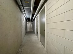 IMG_6767.jpg