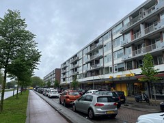 IMG_8402.jpeg