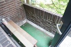 DSC00729.JPG