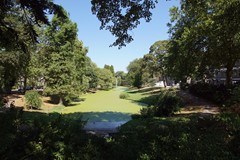 DSC07256.JPG