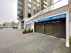 IMG_6751.jpg