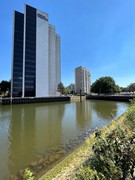 IMG_0470.jpeg