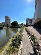 IMG_0472.jpeg