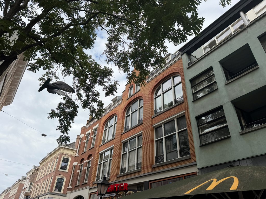 Oude Binnenweg 101B03 3012 JB Rotterdam € 1.111,39 /mnd, photo 1