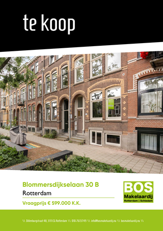 Brochure preview - Blommersdijkselaan 30-B, 3036 ND ROTTERDAM (3)