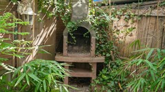 DSC02769.jpg