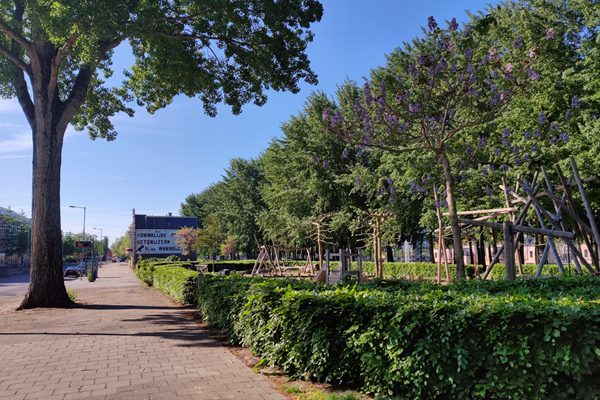 Medium property photo - Zinkerstraat 13, 3071 HP Rotterdam