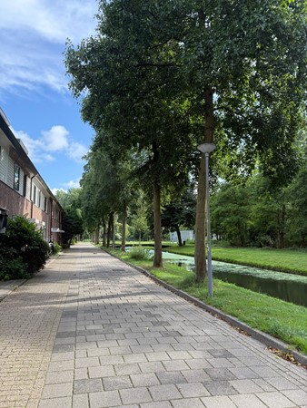 Medium property photo - Tongelaarweg 40, 3077 TE Rotterdam