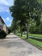 Foto1.jpg