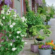 20230510_095515.jpg
