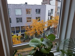 WhatsApp Image 2020-10-29 at 21.40.14 (1).jpeg