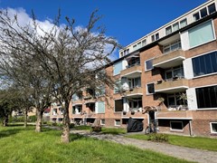 IMG_0895.jpg