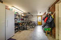 P51A5379.jpg