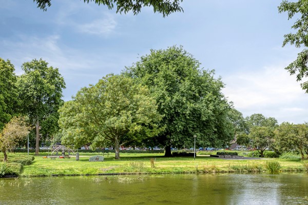 Medium property photo - Vondellaan 310, 9721 LM Groningen