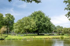 Vondellaan3109721LMGroningen-38.jpg