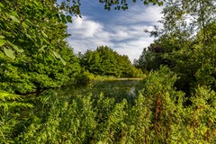 Patrijspoort 37.jpg