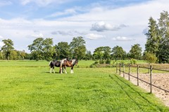 Halbe Wiersemaweg 6-83.jpg