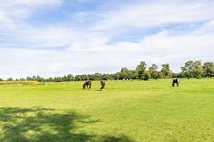 Halbe Wiersemaweg 6-88.jpg