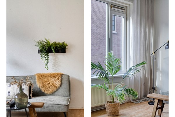 Medium property photo - Torenstraat 19A, 9711 JK Groningen