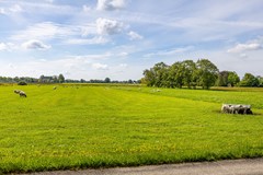 Kleine Hoorn 18-55.jpg
