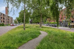 RembrandtvanRijnstraat289718PNGroningenNL-28.jpg