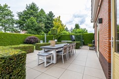 De Koppel Paarden 2-18.jpg