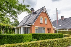 De Koppel Paarden 2-3.jpg