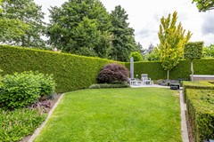 De Koppel Paarden 2-21.jpg